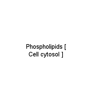 Phospholipids [ Cell cytosol ]